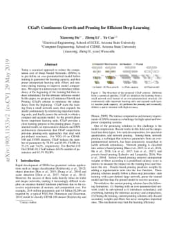 CGaP: Continuous Growth and Pruning for Efficient Deep Learning