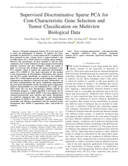 Supervised Discriminative Sparse PCA for Com-Characteristic Gene
  Selection and Tumor Classification on Multiview Biological Data