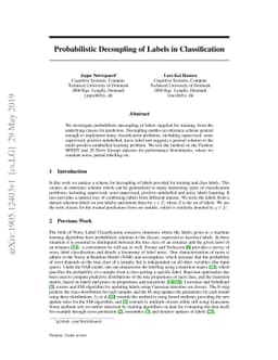 Probabilistic Decoupling of Labels in Classification