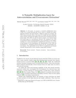 A Trainable Multiplication Layer for Auto-correlation and Co-occurrence
  Extraction