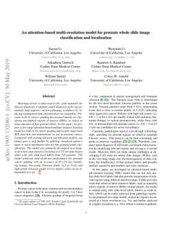 An attention-based multi-resolution model for prostate whole slide
  imageclassification and localization