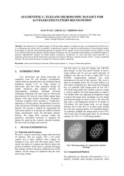 Augmenting C. elegans Microscopic Dataset for Accelerated Pattern
  Recognition