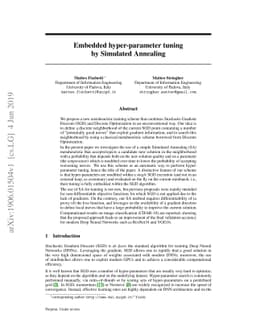 Embedded hyper-parameter tuning by Simulated Annealing