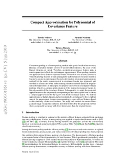 Compact Approximation for Polynomial of Covariance Feature