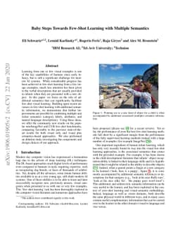 Baby steps towards few-shot learning with multiple semantics