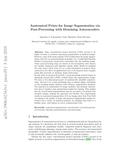 Anatomical Priors for Image Segmentation via Post-Processing with
  Denoising Autoencoders