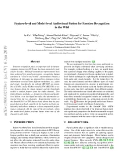 Feature-level and Model-level Audiovisual Fusion for Emotion Recognition
  in the Wild