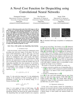 A Novel Cost Function for Despeckling using Convolutional Neural
  Networks