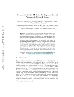 `Project & Excite' Modules for Segmentation of Volumetric Medical Scans