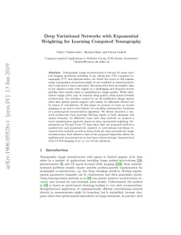 Deep Variational Networks with Exponential Weighting for Learning
  Computed Tomography