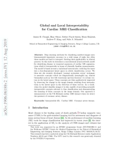 Global and Local Interpretability for Cardiac MRI Classification
