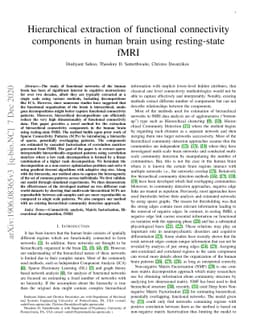 Extraction of hierarchical functional connectivity components in human
  brain using resting-state fMRI