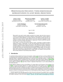Disentangling Influence: Using Disentangled Representations to Audit
  Model Predictions