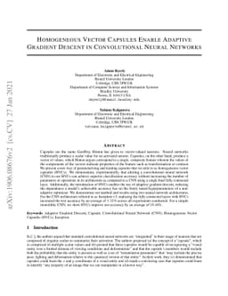 Homogeneous Vector Capsules Enable Adaptive Gradient Descent in
  Convolutional Neural Networks