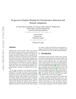 Progressive Gradient Pruning for Classification, Detection and
  DomainAdaptation