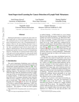 Semi-Supervised Learning for Cancer Detection of Lymph Node Metastases