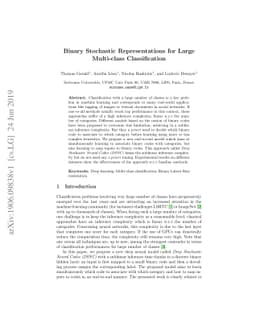 Binary Stochastic Representations for Large Multi-class Classification