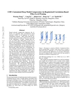 COP: Customized Deep Model Compression via Regularized Correlation-Based
  Filter-Level Pruning