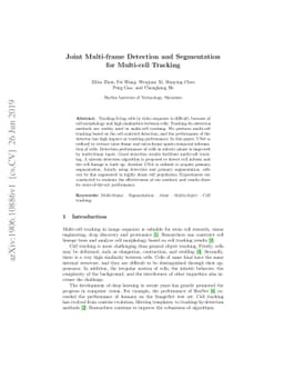 Joint Multi-frame Detection and Segmentation for Multi-cell Tracking