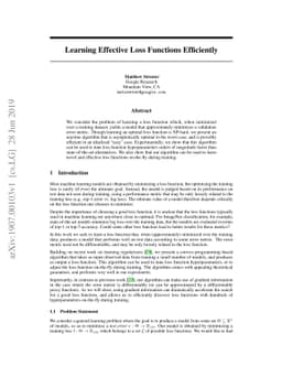 Learning Effective Loss Functions Efficiently