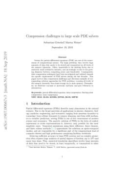 Compression challenges in large scale PDE solvers