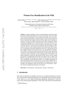 Primate Face Identification in the Wild