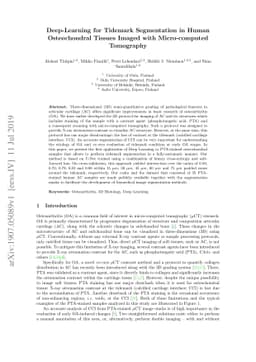 Deep-Learning for Tidemark Segmentation in Human Osteochondral Tissues
  Imaged with Micro-computed Tomography