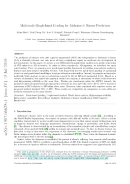Multi-scale Graph-based Grading for Alzheimer's Disease Prediction
