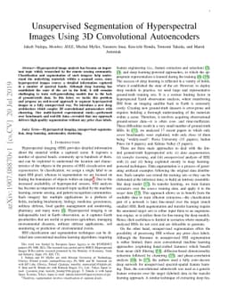 Unsupervised Segmentation of Hyperspectral Images Using 3D Convolutional
  Autoencoders
