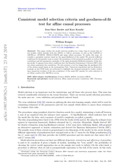 Consistent model selection criteria and goodness-of-fit test for affine
  causal processes