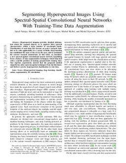 Segmenting Hyperspectral Images Using Spectral-Spatial Convolutional
  Neural Networks With Training-Time Data Augmentation