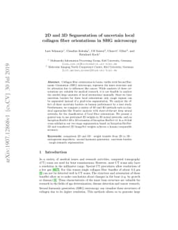 2D and 3D Segmentation of uncertain local collagen fiber orientations in
  SHG microscopy