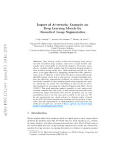 Impact of Adversarial Examples on Deep Learning Models for Biomedical
  Image Segmentation