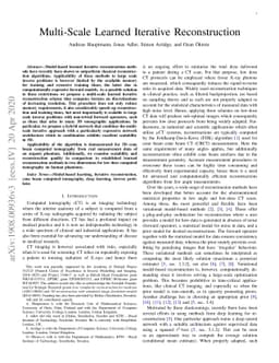 Multi-Scale Learned Iterative Reconstruction