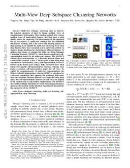 Multi-view Deep Subspace Clustering Networks