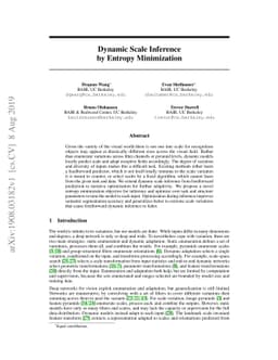 Dynamic Scale Inference by Entropy Minimization