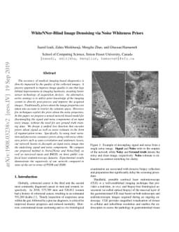WhiteNNer-Blind Image Denoising via Noise Whiteness Priors