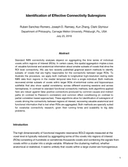 Identification of Effective Connectivity Subregions