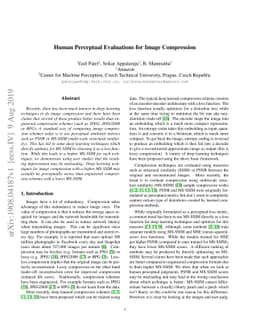 Human Perceptual Evaluations for Image Compression