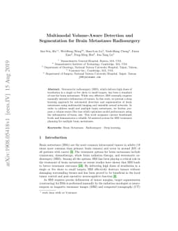 Multimodal Volume-Aware Detection and Segmentation for Brain Metastases
  Radiosurgery