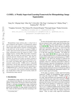 CAMEL: A Weakly Supervised Learning Framework for Histopathology Image
  Segmentation
