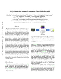 SSAP: Single-Shot Instance Segmentation With Affinity Pyramid