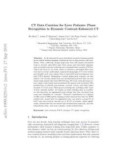 CT Data Curation for Liver Patients: Phase Recognition in Dynamic
  Contrast-Enhanced CT