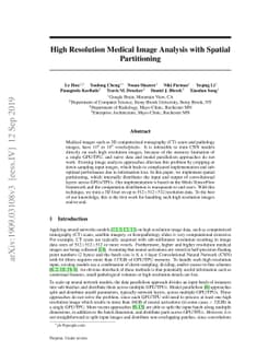 High Resolution Medical Image Analysis with Spatial Partitioning