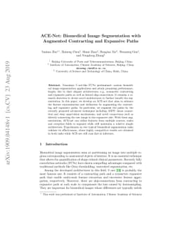 ACE-Net: Biomedical Image Segmentation with Augmented Contracting and
  Expansive Paths