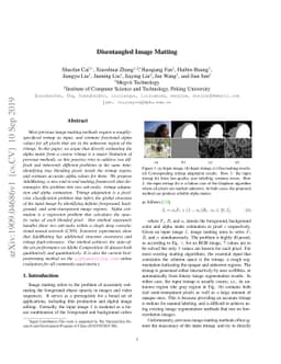 Disentangled Image Matting