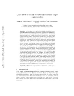 Local block-wise self attention for normal organ segmentation