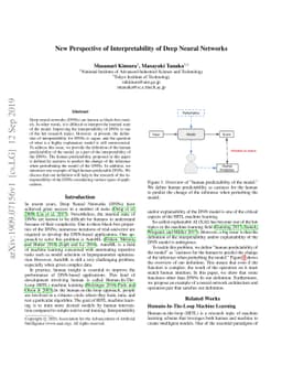 New Perspective of Interpretability of Deep Neural Networks