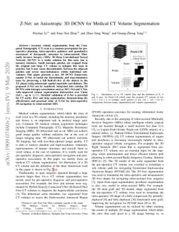 Z-Net: an Anisotropic 3D DCNN for Medical CT Volume Segmentation