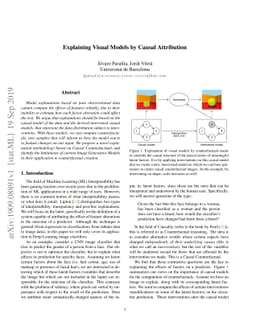 Explaining Visual Models by Causal Attribution